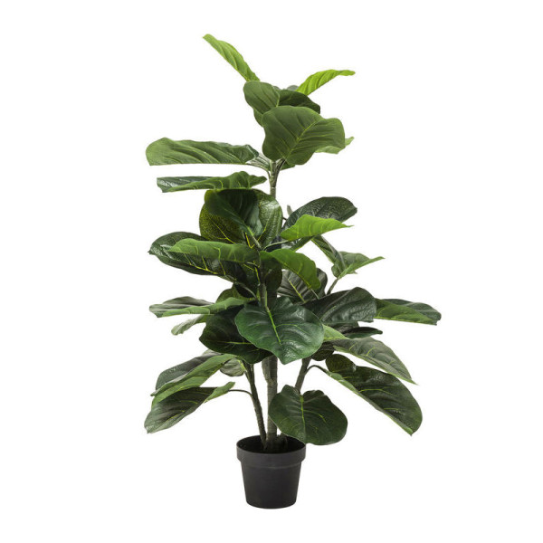 Deco plant vioolbladplant