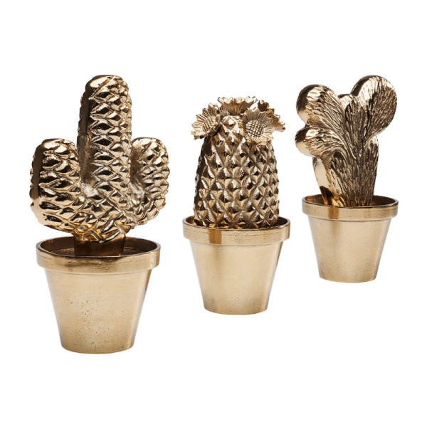 Cactus potten