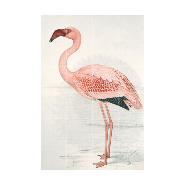 Wanddecoratie van een flamingo