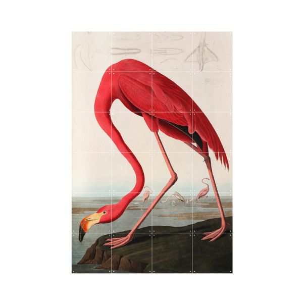 Wanddecoratie van een gebogen flamingo