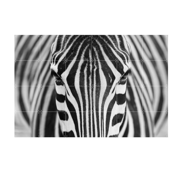 Wanddecoratie met een foto van een zebra