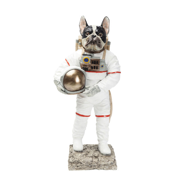 Astronaut hond