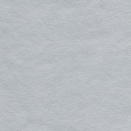 688 - Silvershine