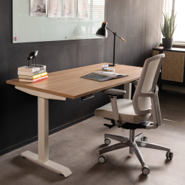 Verstelbaar bureau wit