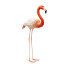 Flamingobeeld